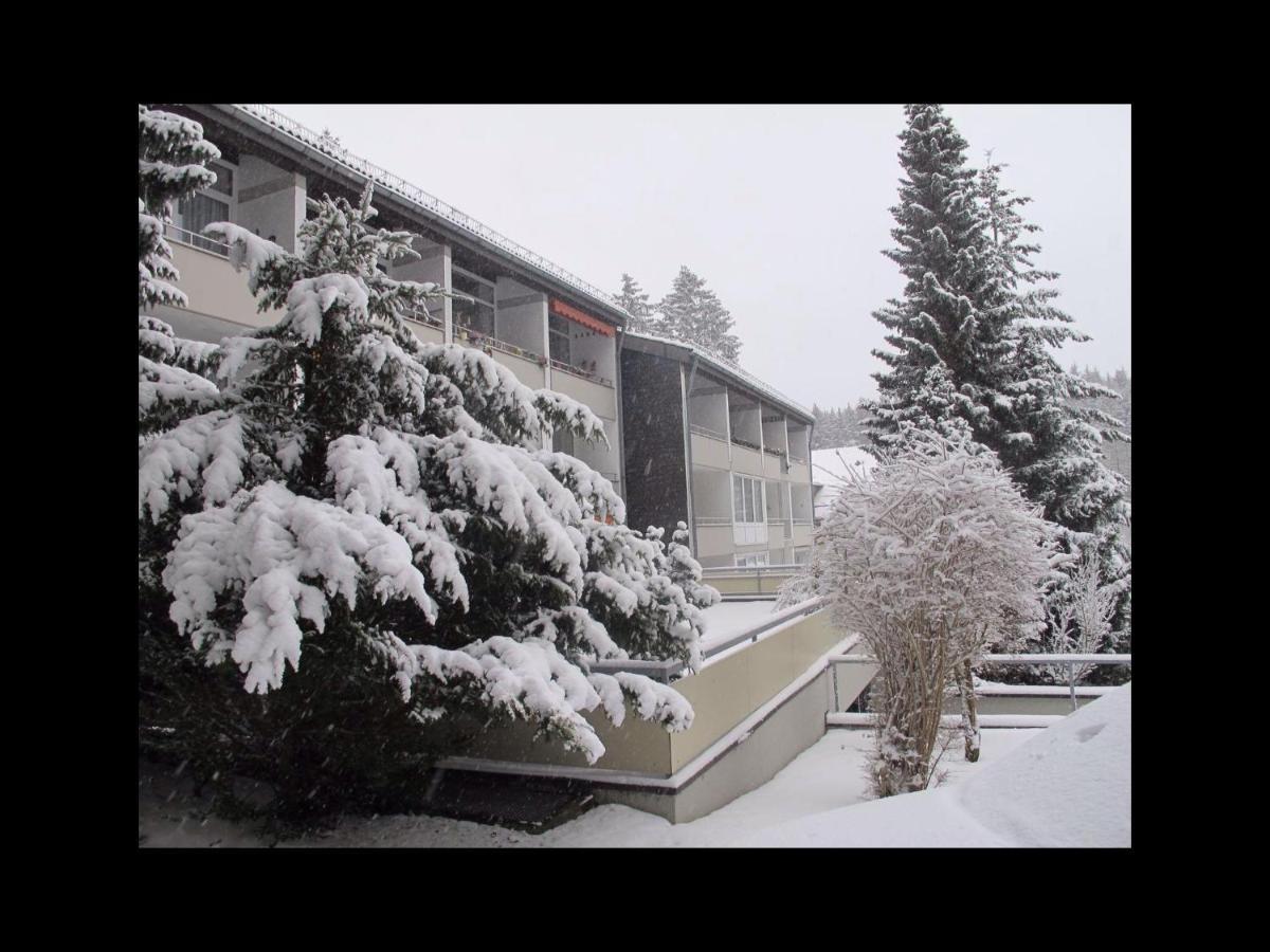 Ferienwohnung goldener Hirsch Braunlage Exterior foto